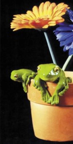 House Plant Pot Decorators-Frog Set 2